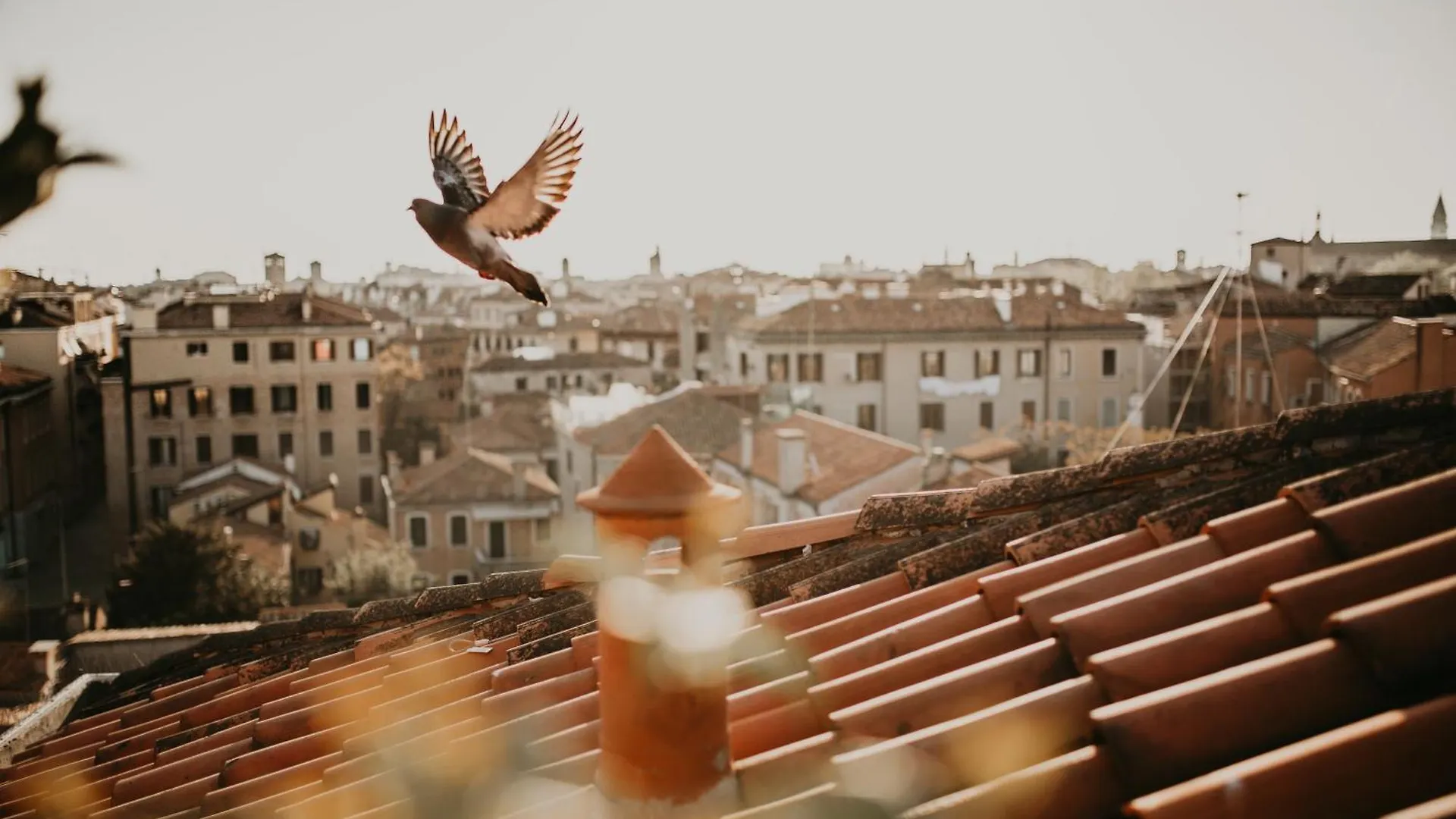 Hotel Papadopoli Venezia - Mgallery Collection